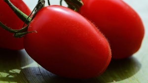 Projektet har fokuseret pÃ¥ tomater pÃ¥ stilke, druer og fÃ¦rdigretter. Foto: www.pixabay.com.